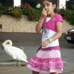 J Saini