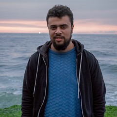 Mohamed Magdy Dowidar