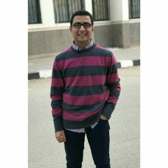 Mohamed K.Tolba