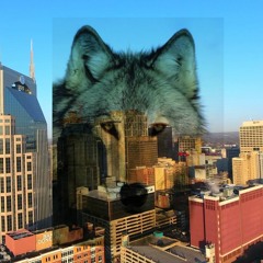 NashvilleWolf