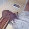 Kabir Aderemi Ismail