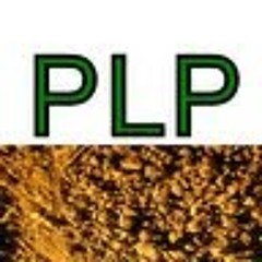 PRIT - PLP LTD.