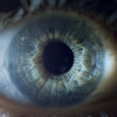 xxbuccixx