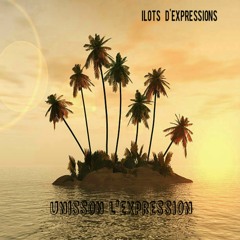 Ilots d'expressions