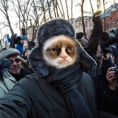 mi lenko
