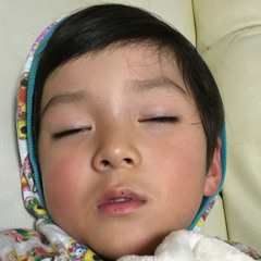 トロイの木馬