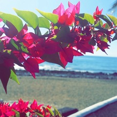 Farewell to Your Arms