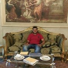 Mohamed Elsayed Mansour