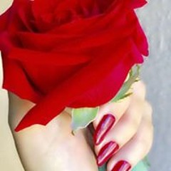 Rosa Roja
