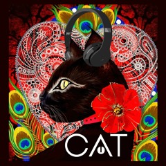 Catdezign