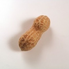 Peanut_