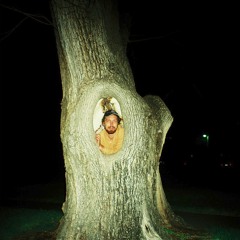 Tiptoe Through the Tulips (Feat. Carlo)