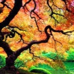 Hannah Anderson (Vish)