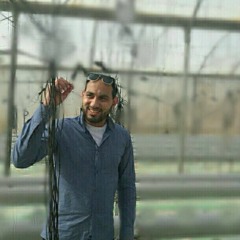 Ahmed Jendeya