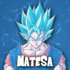NateSA The (NateSAG0d)
