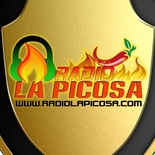 RADIO LA PICOSA’s avatar
