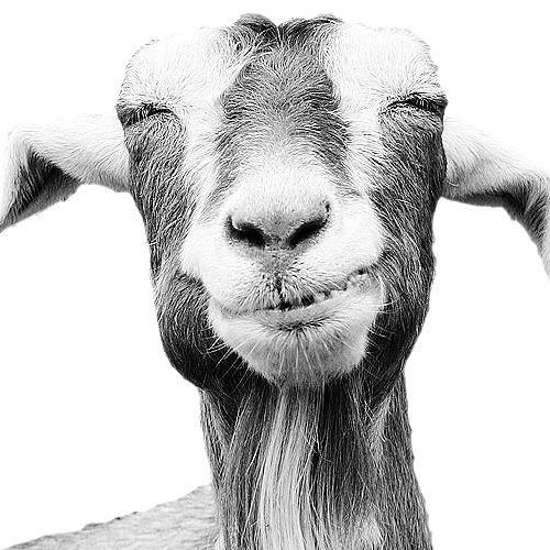 Stream Johnny Jakobsen music Listen to songs, albums, playlists for