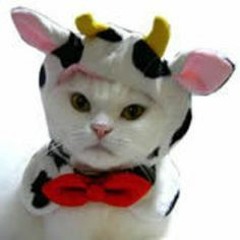 The KittyCow