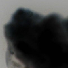 T9M9A9