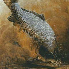 Psycarp