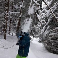 Jakub Sikora