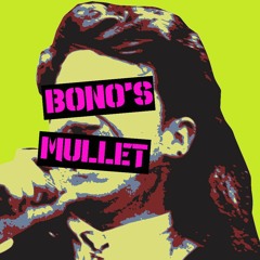 Bono's Mullet