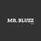 Mr. Bluzz Beats