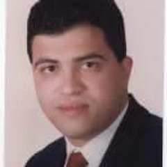 عبد العزيز الشراكي
