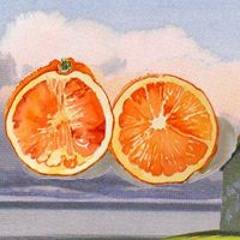 Orangevibes