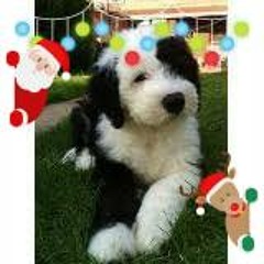 Ella Lavander Sanders