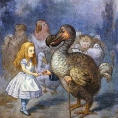 Les Pieds de la Dame aux Clebs ( Stéphane Milleret )