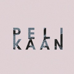 Pelikaan