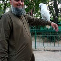 Faisal Chaudhry