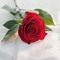عائشه خجا
