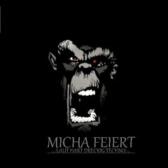 Micha Feiert
