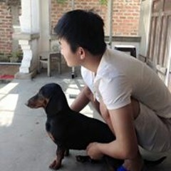 pvh chinh