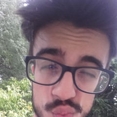 Michele Catena