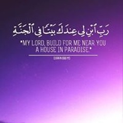 User 764392011