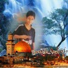 faris alshamy