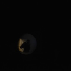Bovine Slice