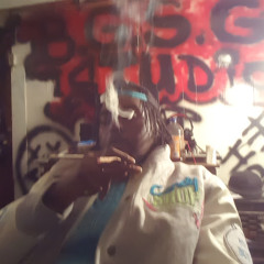 B.G.S.G