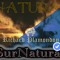 Albums Natural / SurNatural and More...