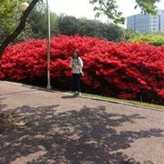 신수현