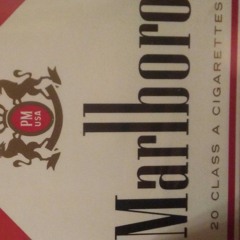 The sanitation Master tata