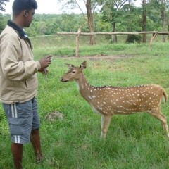Deepak Bhaskar Karunan