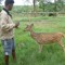 Deepak Bhaskar Karunan
