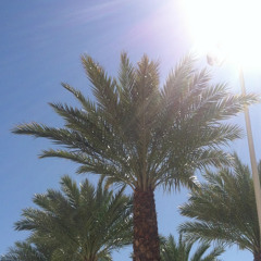 Rod Wave - Lonely (Sped upFast).mp3