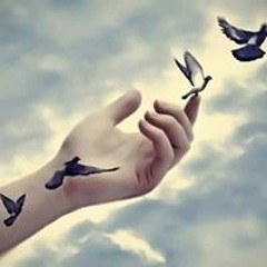 Ahmed Abdou