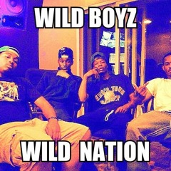 Wild Nation