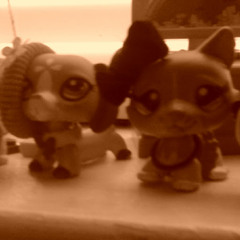 Lps rose and cristal